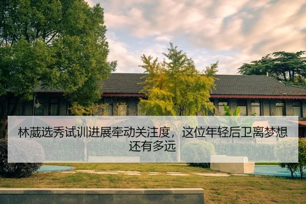 林葳选秀试训进展牵动关注度，这位年轻后卫离梦想还有多远 - mkty